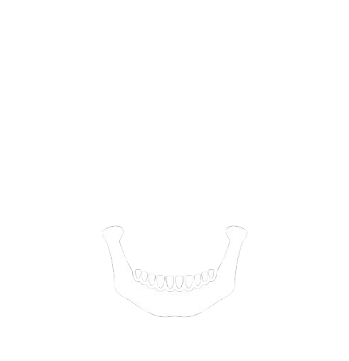 Skull Jaw